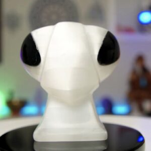 Selenite - Purity, Light Activation & Energetic Renewal